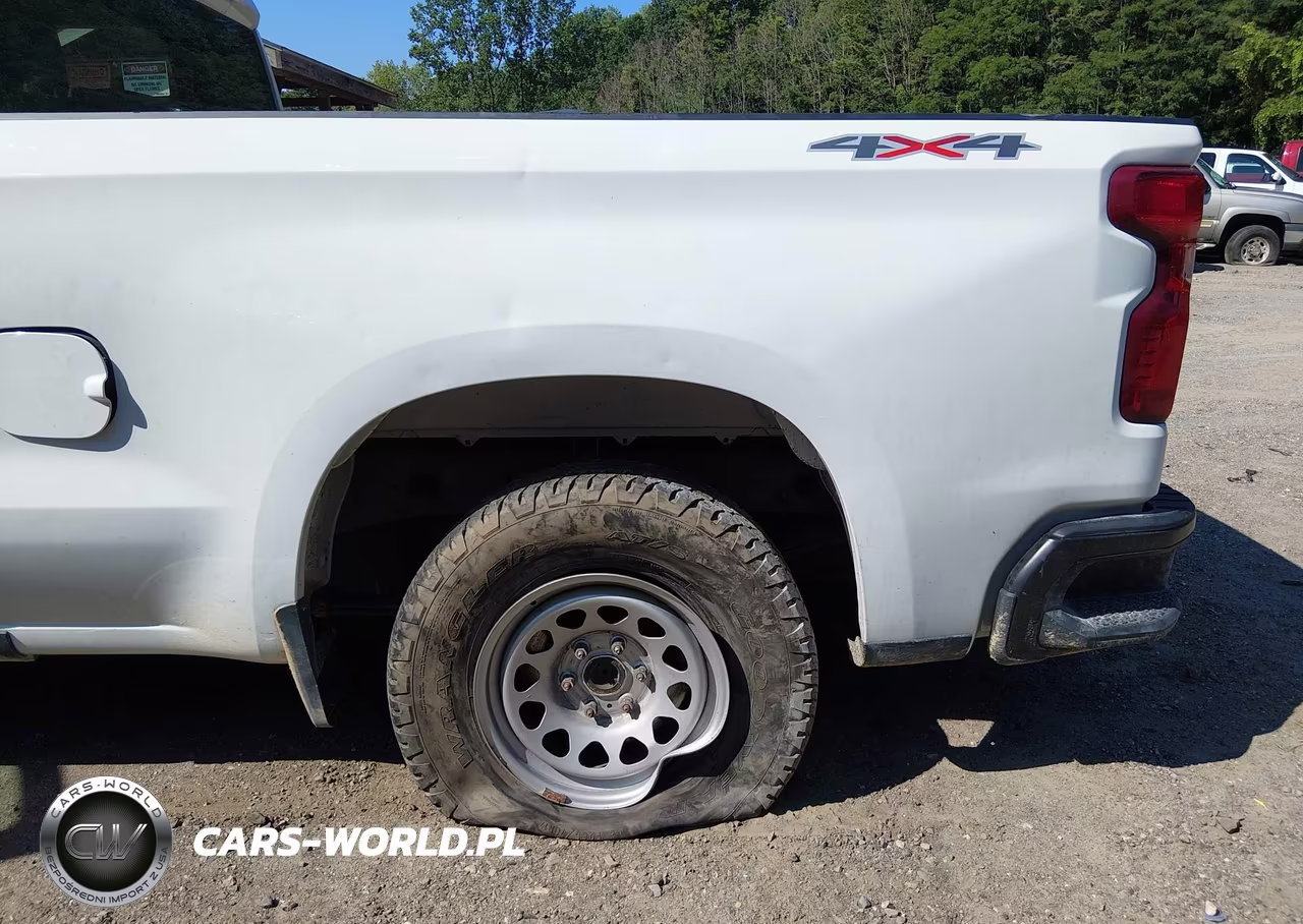 2019 Chevrolet Silverado 1500 Work Truck VIN:1GCRYAEF7KZ351330 - 6