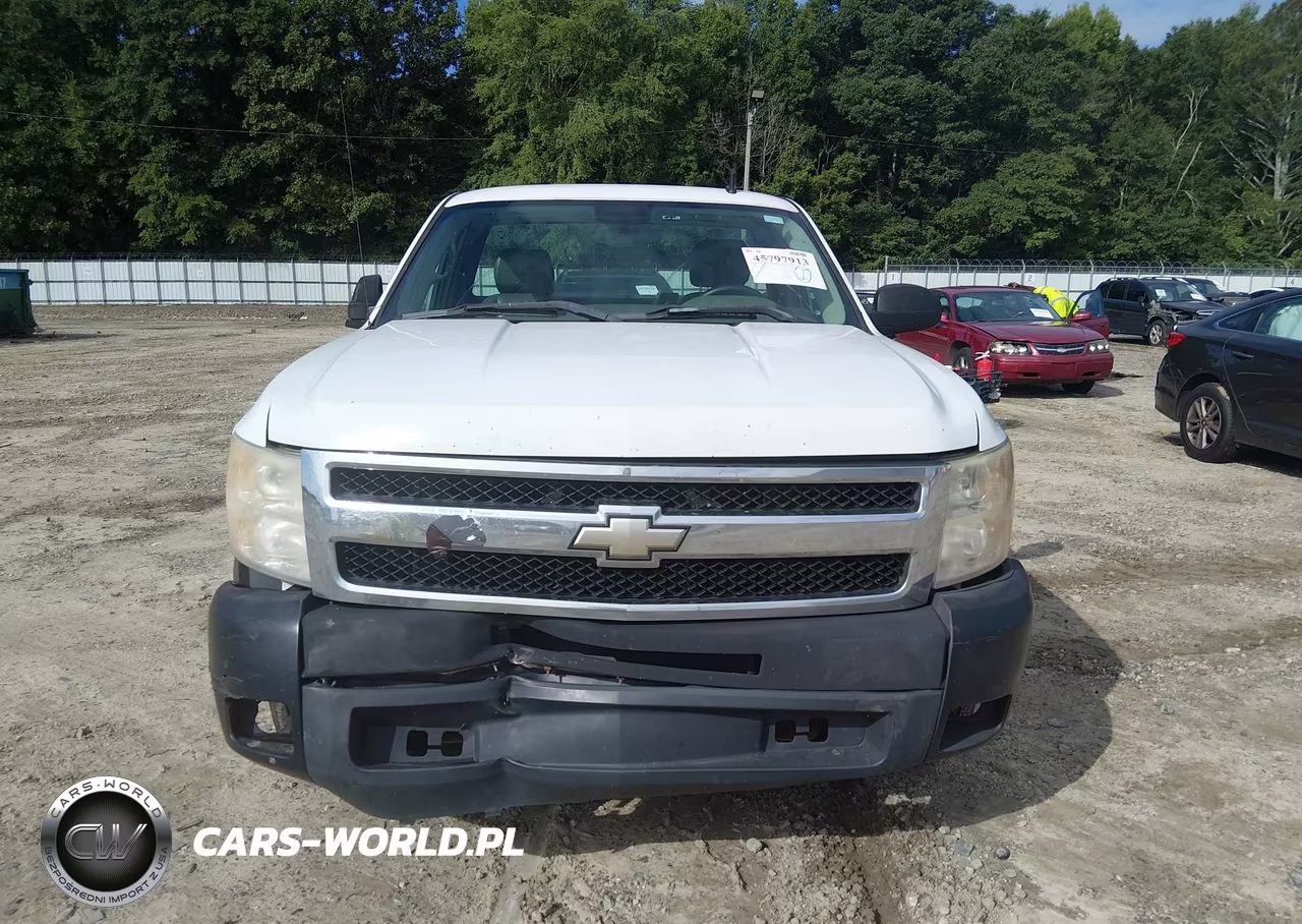 2008 Chevrolet Silverado 1500 Work Truck VIN:1GCEC14C08E119463 - 12