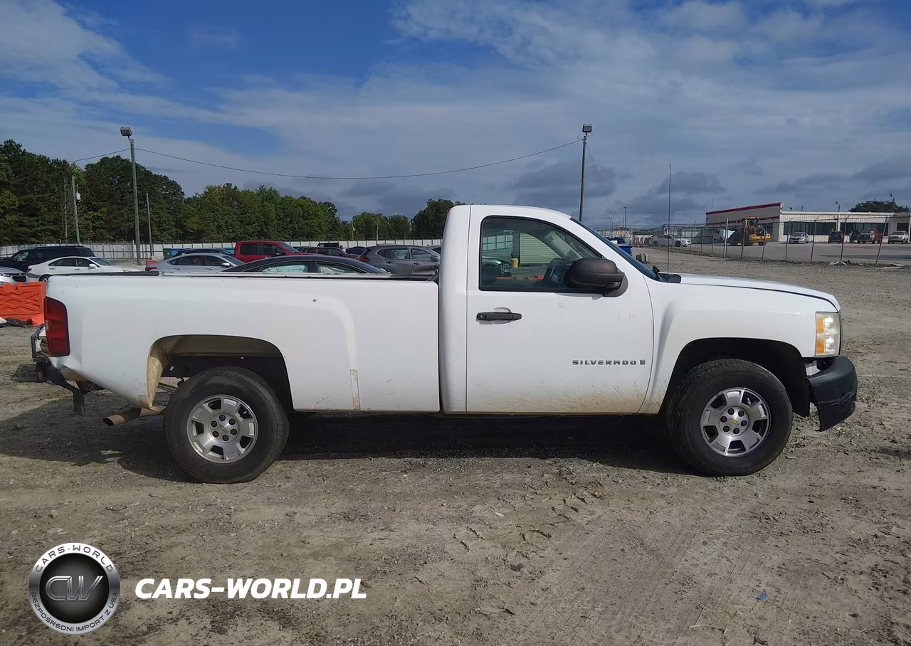 2008 Chevrolet Silverado 1500 Work Truck VIN:1GCEC14C08E119463 - 13