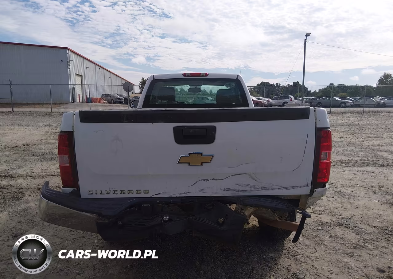 2008 Chevrolet Silverado 1500 Work Truck VIN:1GCEC14C08E119463 - 16