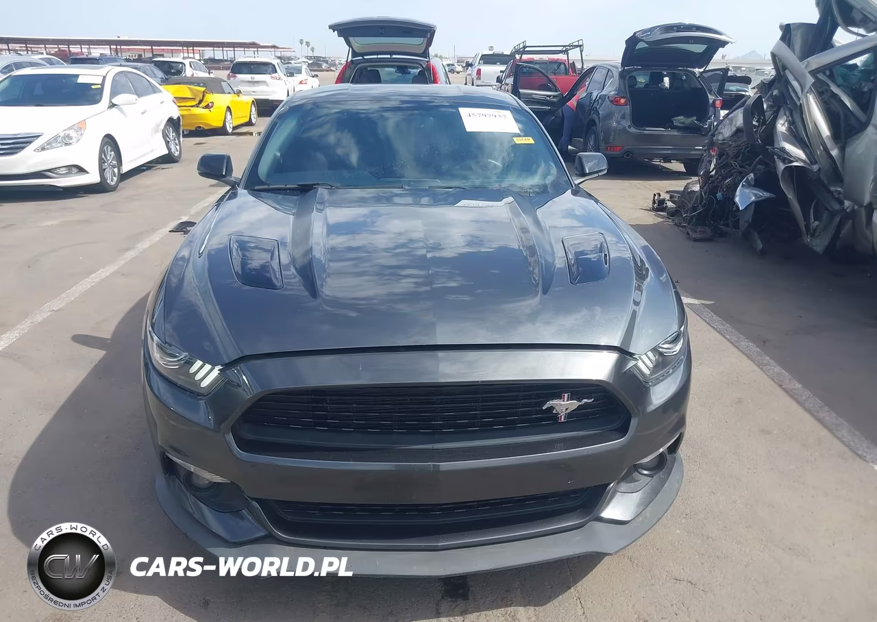 2016 Ford Mustang Gt Premium VIN:1FA6P8CF6G5228351 - 13
