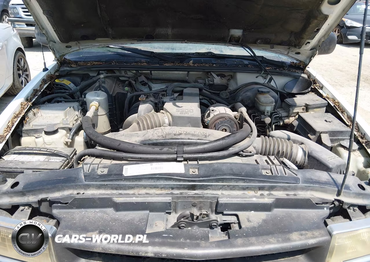 1999 Chevrolet S-10 Ls VIN:1GCCS194XX8144041 - 10