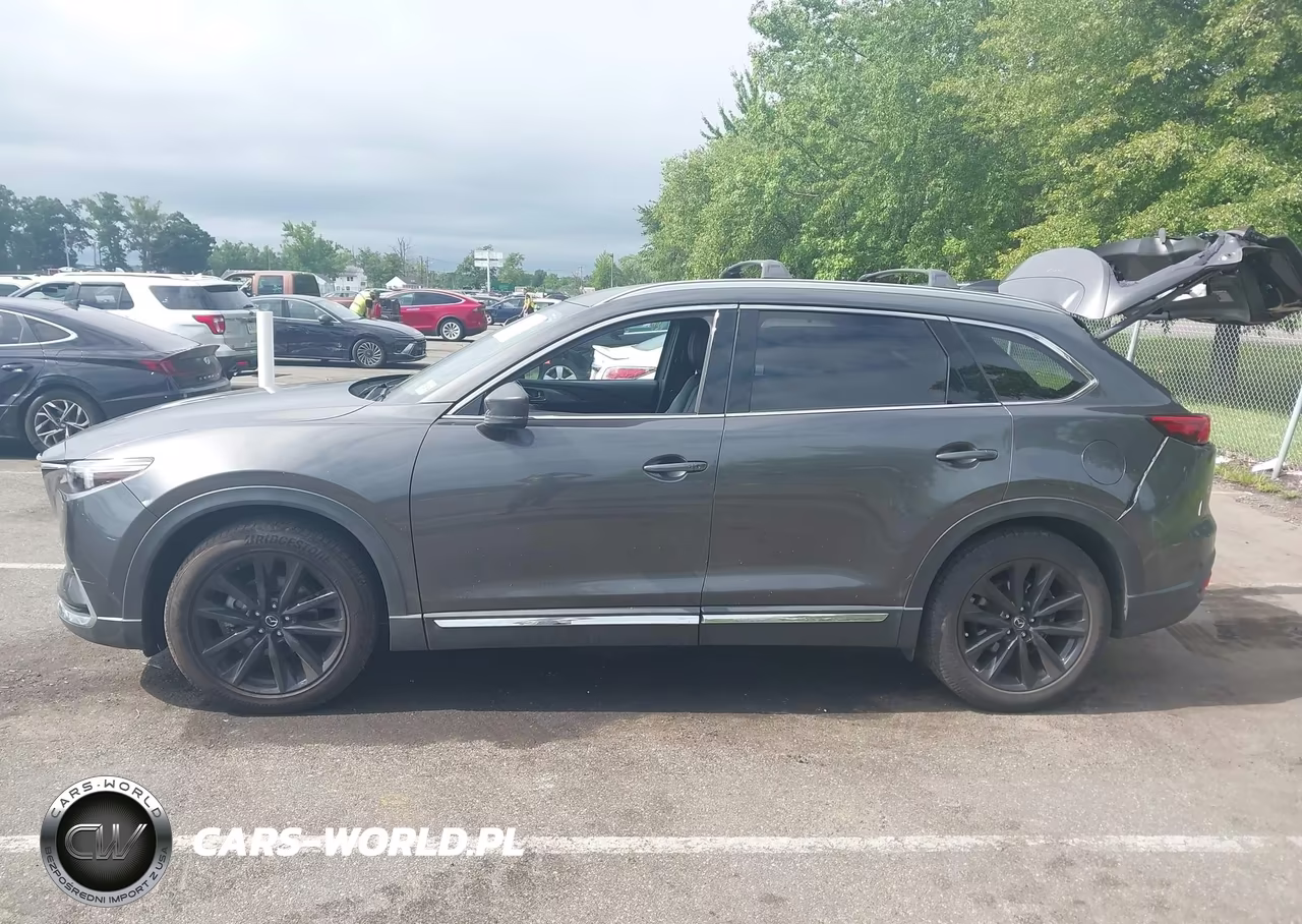 2016 Mazda Cx-9 Grand Touring VIN:JM3TCADY8G0118941 - 14