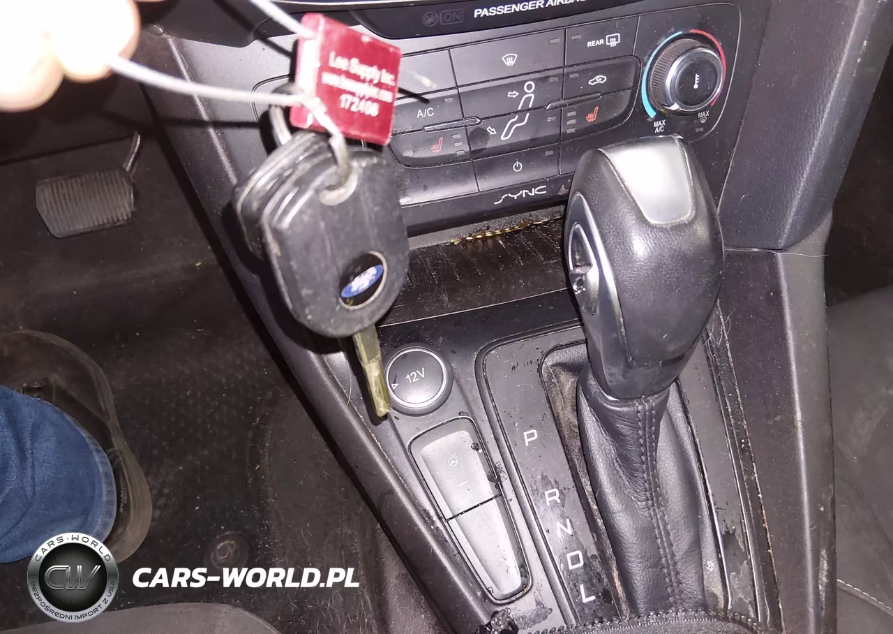 2015 Ford Focus Se VIN:1FADP3F28FL314435 - 11