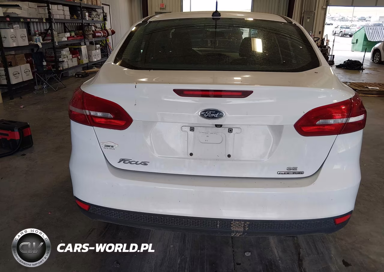 2015 Ford Focus Se VIN:1FADP3F28FL314435 - 17