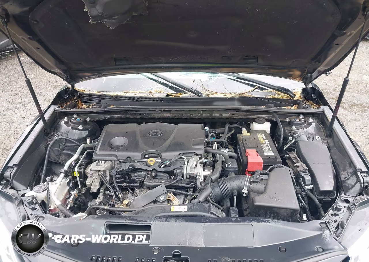 2019 Toyota Camry Le VIN:4T1B11HK3KU186318 - 10