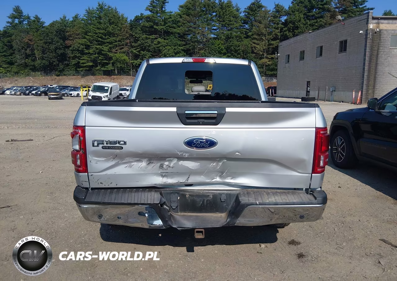 2017 Ford F-150 Xlt VIN:1FTEW1EP9HFA79421 - 16
