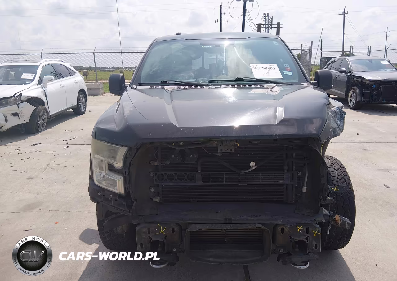 2015 Ford F-150 Xlt VIN:1FTEW1EP3FKD20474 - 12