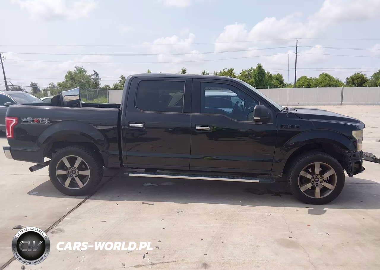 2015 Ford F-150 Xlt VIN:1FTEW1EP3FKD20474 - 13