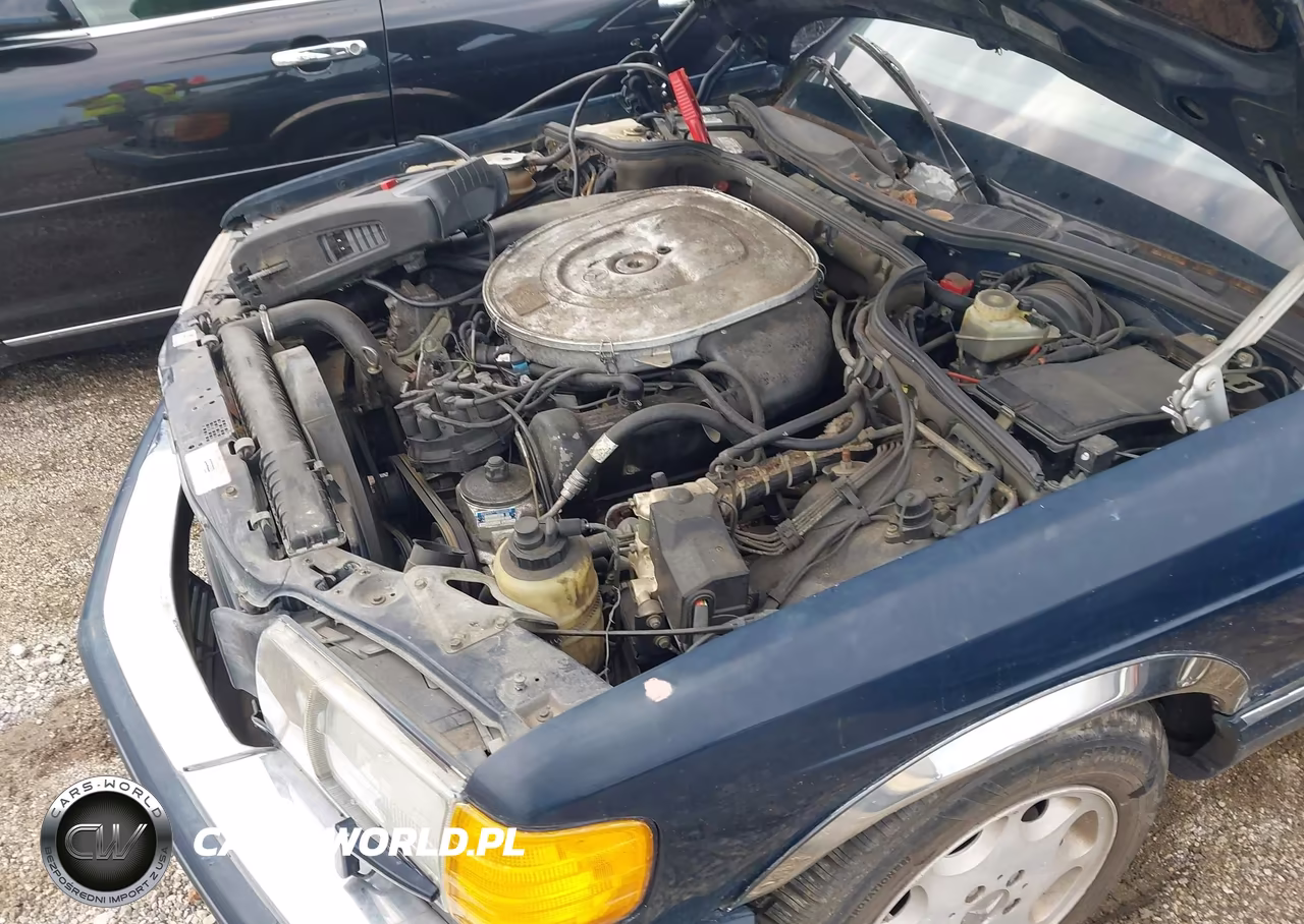 1989 Mercedes-Benz 560 Sel VIN:WDBCA39E2KA483044 - 12