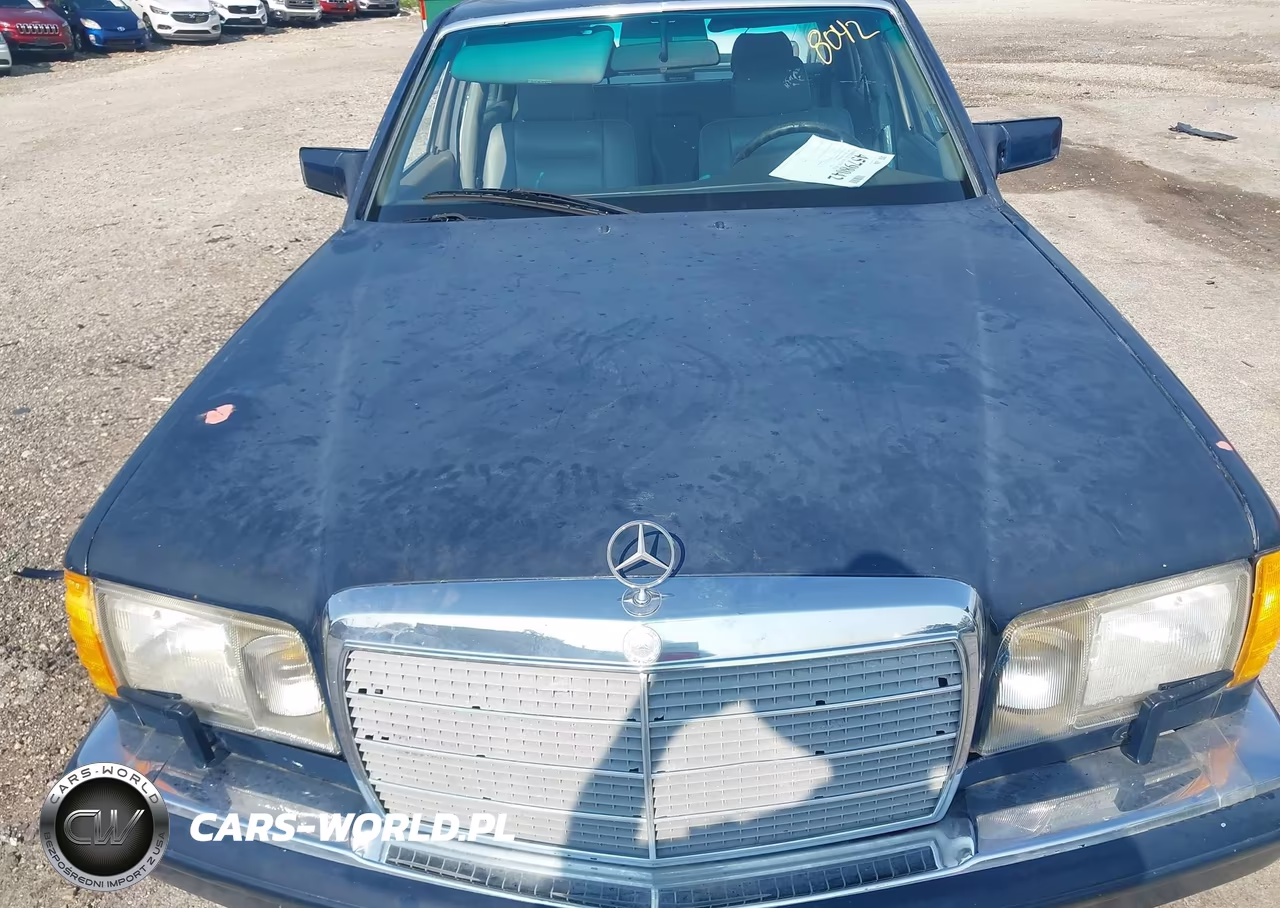 1989 Mercedes-Benz 560 Sel VIN:WDBCA39E2KA483044 - 6