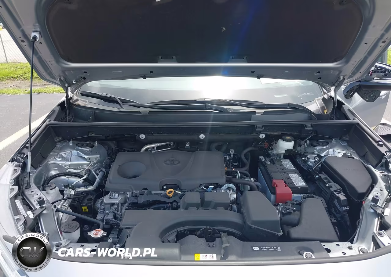 2025 Toyota Rav4 Xle VIN:2T3W1RFV1SC343558 - 10
