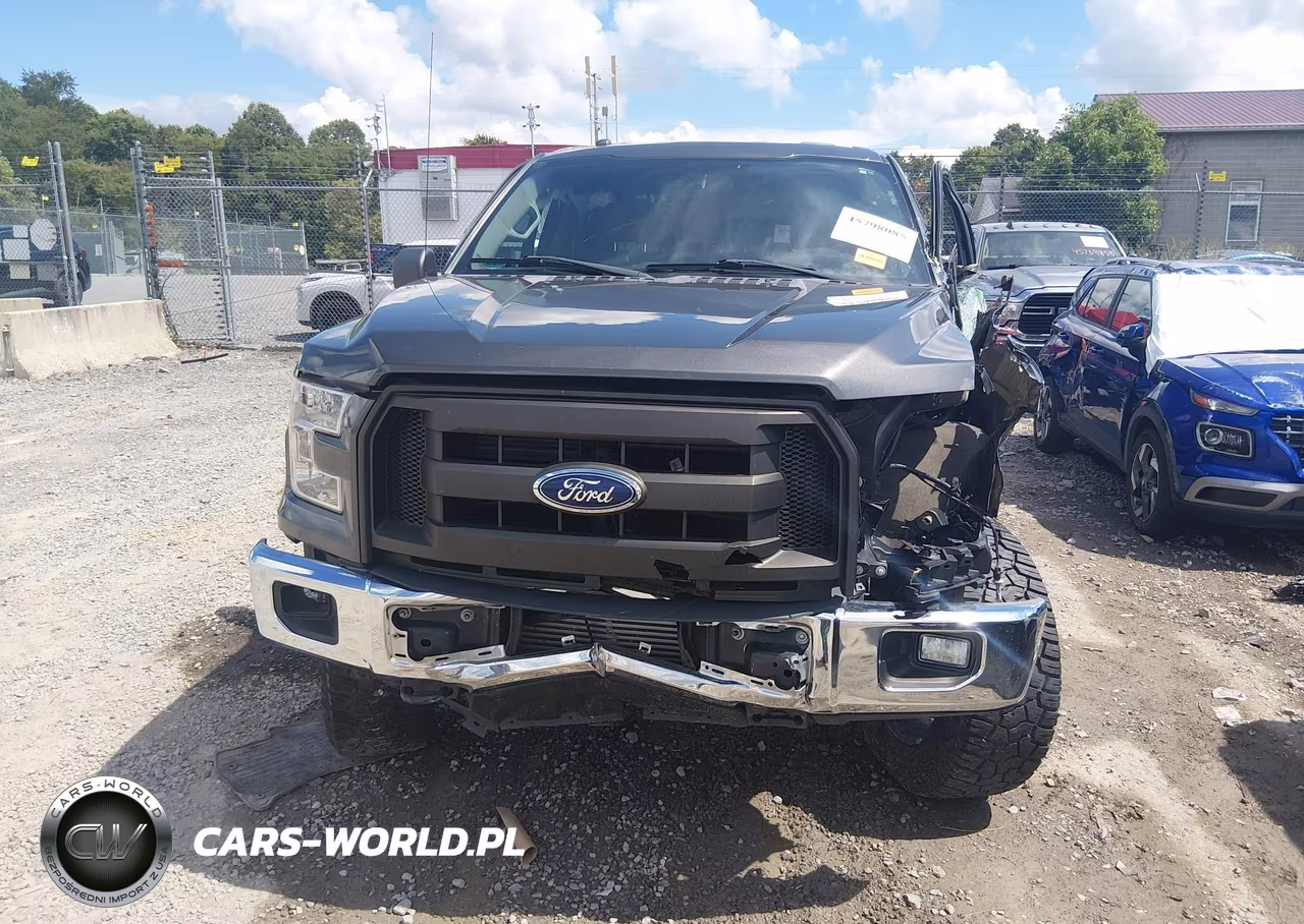 2016 Ford F-150 Xl VIN:1FTEW1EPXGFB91966 - 13