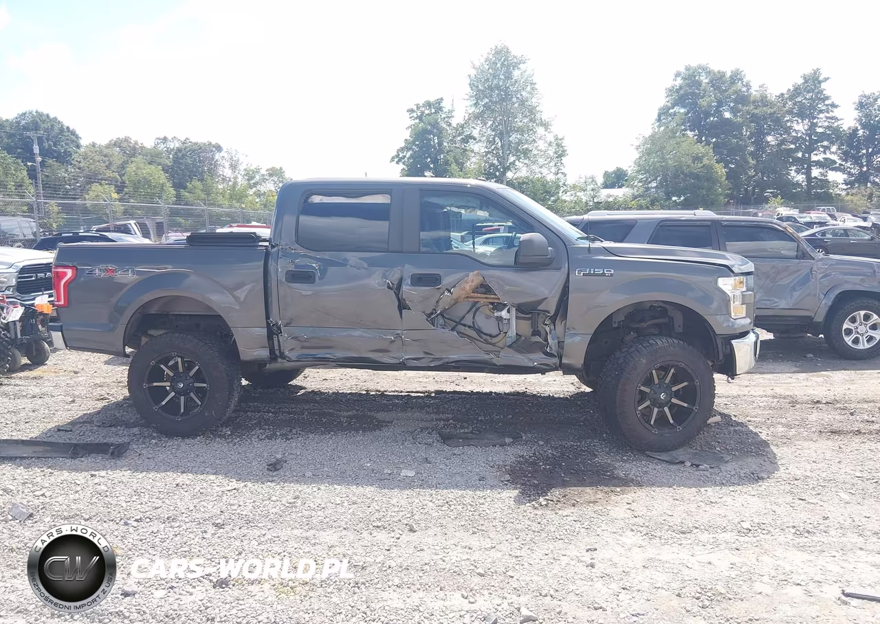 2016 Ford F-150 Xl VIN:1FTEW1EPXGFB91966 - 14
