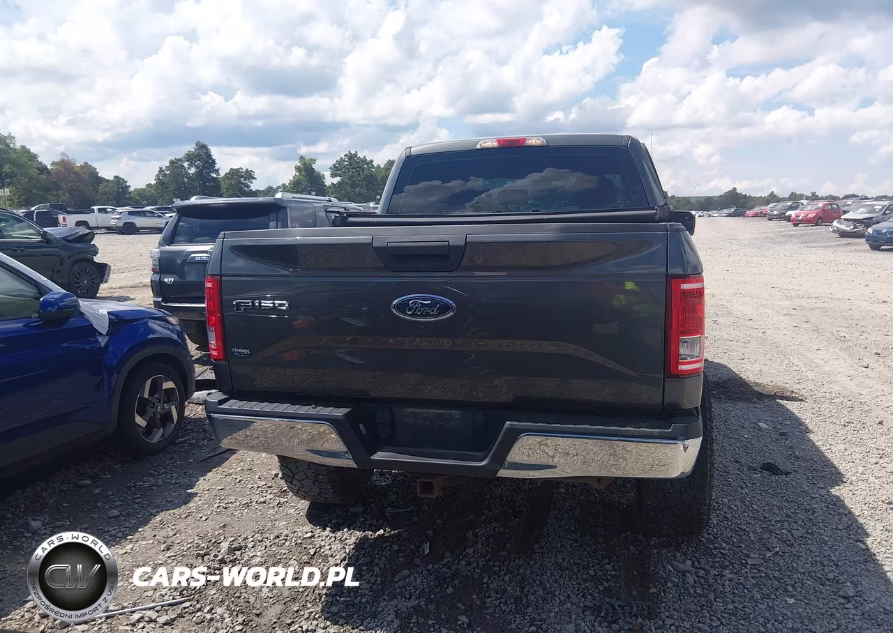 2016 Ford F-150 Xl VIN:1FTEW1EPXGFB91966 - 17