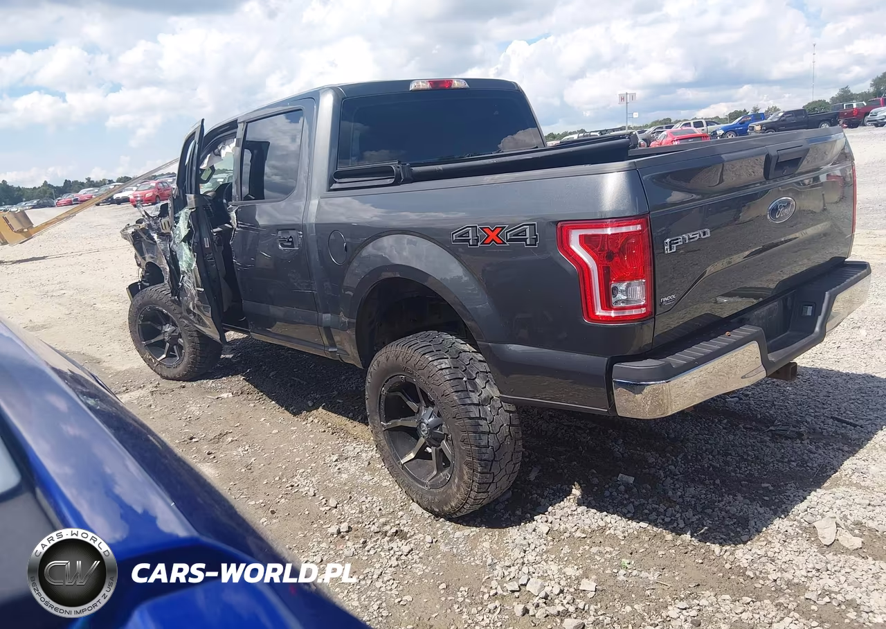 2016 Ford F-150 Xl VIN:1FTEW1EPXGFB91966 - 3