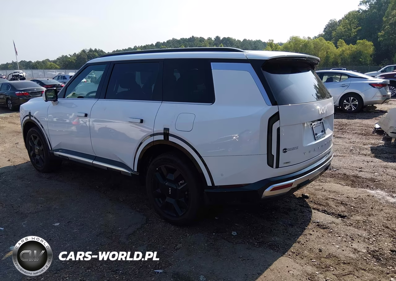 2027 Kia Telluride Hybrid Sx VIN:5XYPD5SA7VG014744 - 3