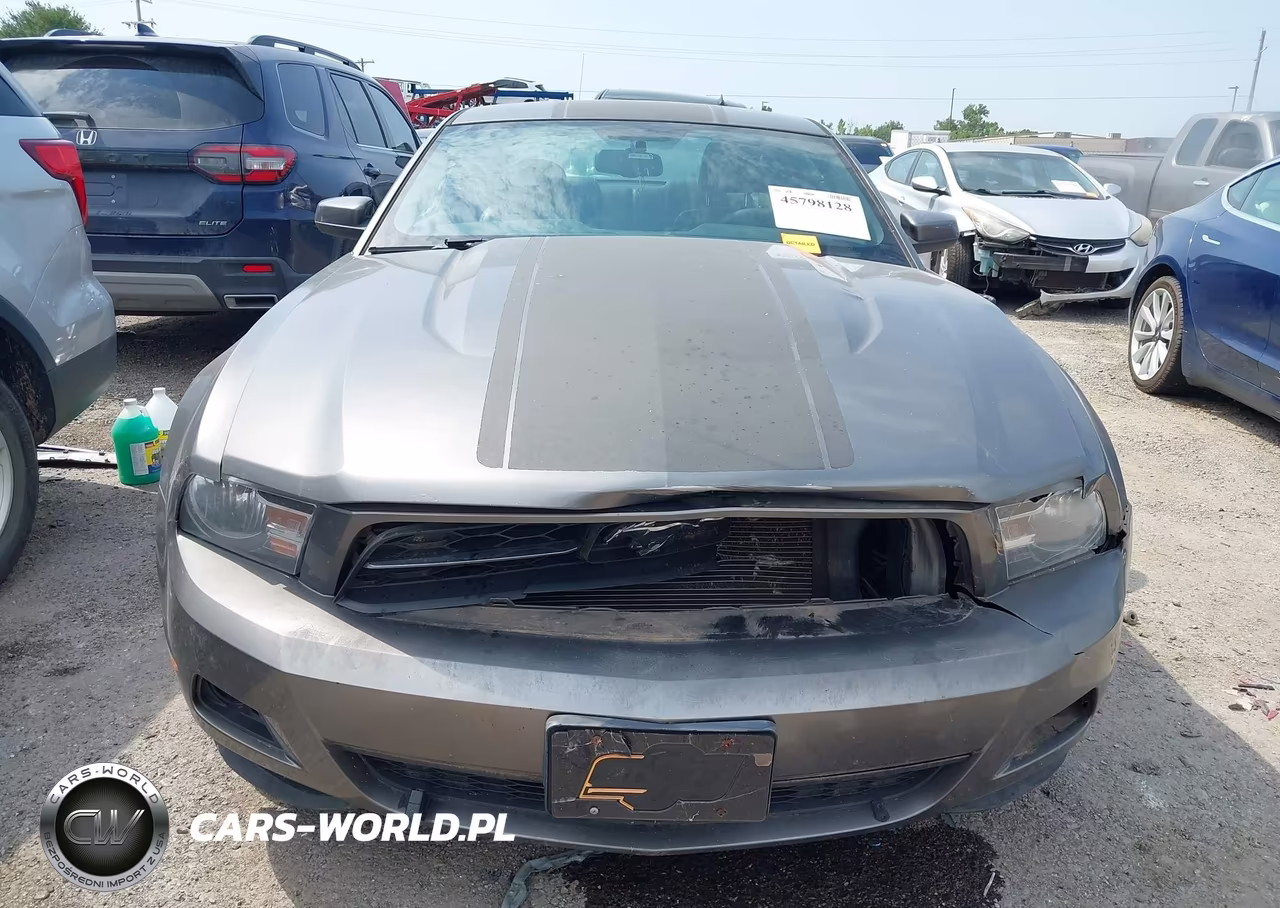 2010 Ford Mustang V6-V6 Premium VIN:1ZVBP8AN7A5168698 - 12