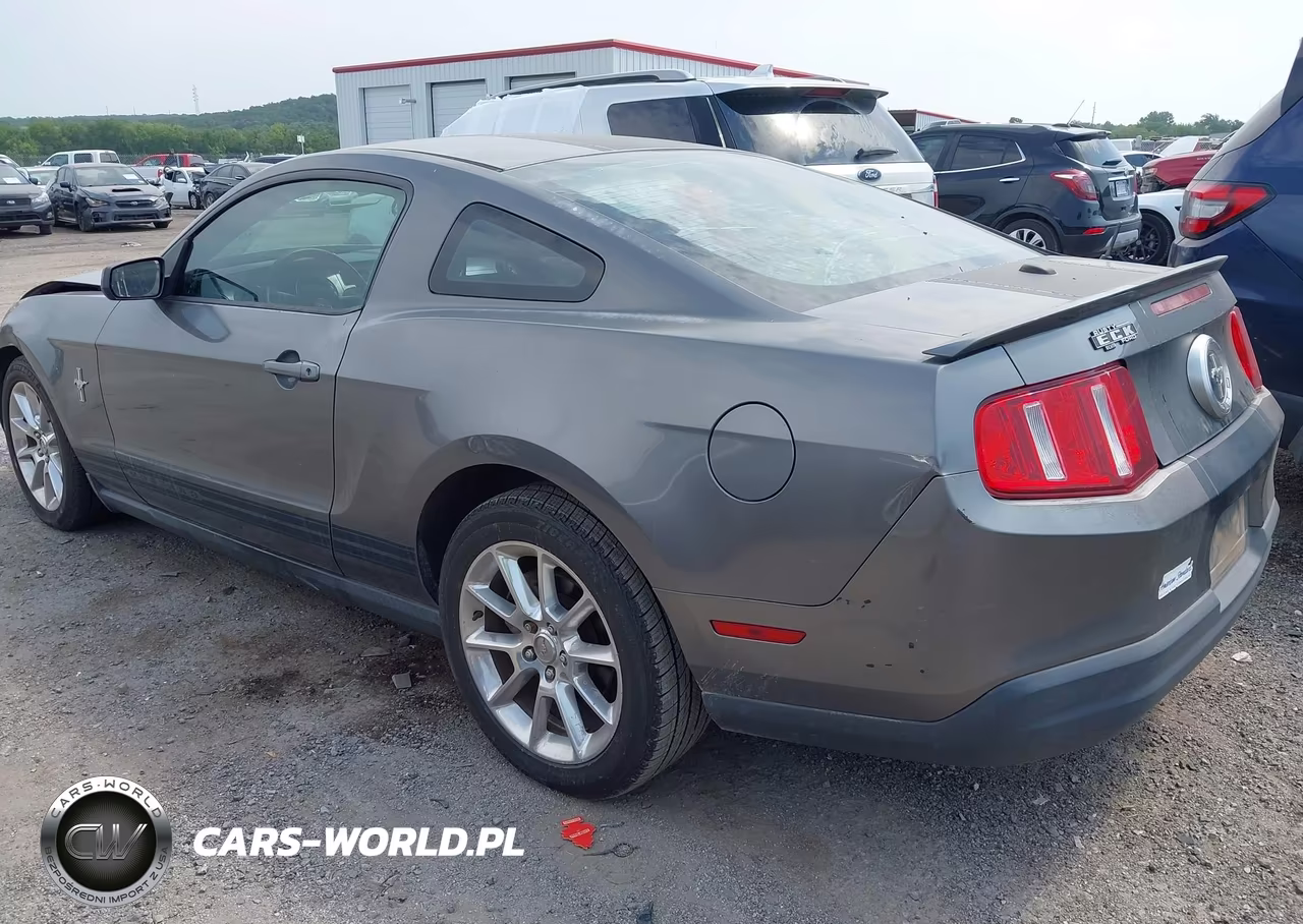 2010 Ford Mustang V6-V6 Premium VIN:1ZVBP8AN7A5168698 - 3