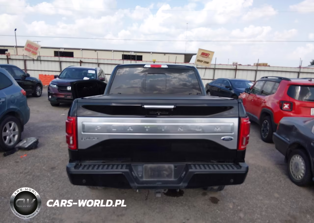 2015 Ford F-150 Platinum VIN:1FTEW1EG2FFA83825 - 15