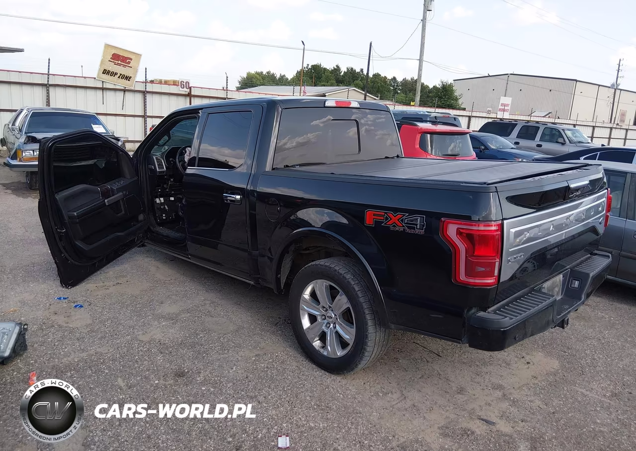 2015 Ford F-150 Platinum VIN:1FTEW1EG2FFA83825 - 3