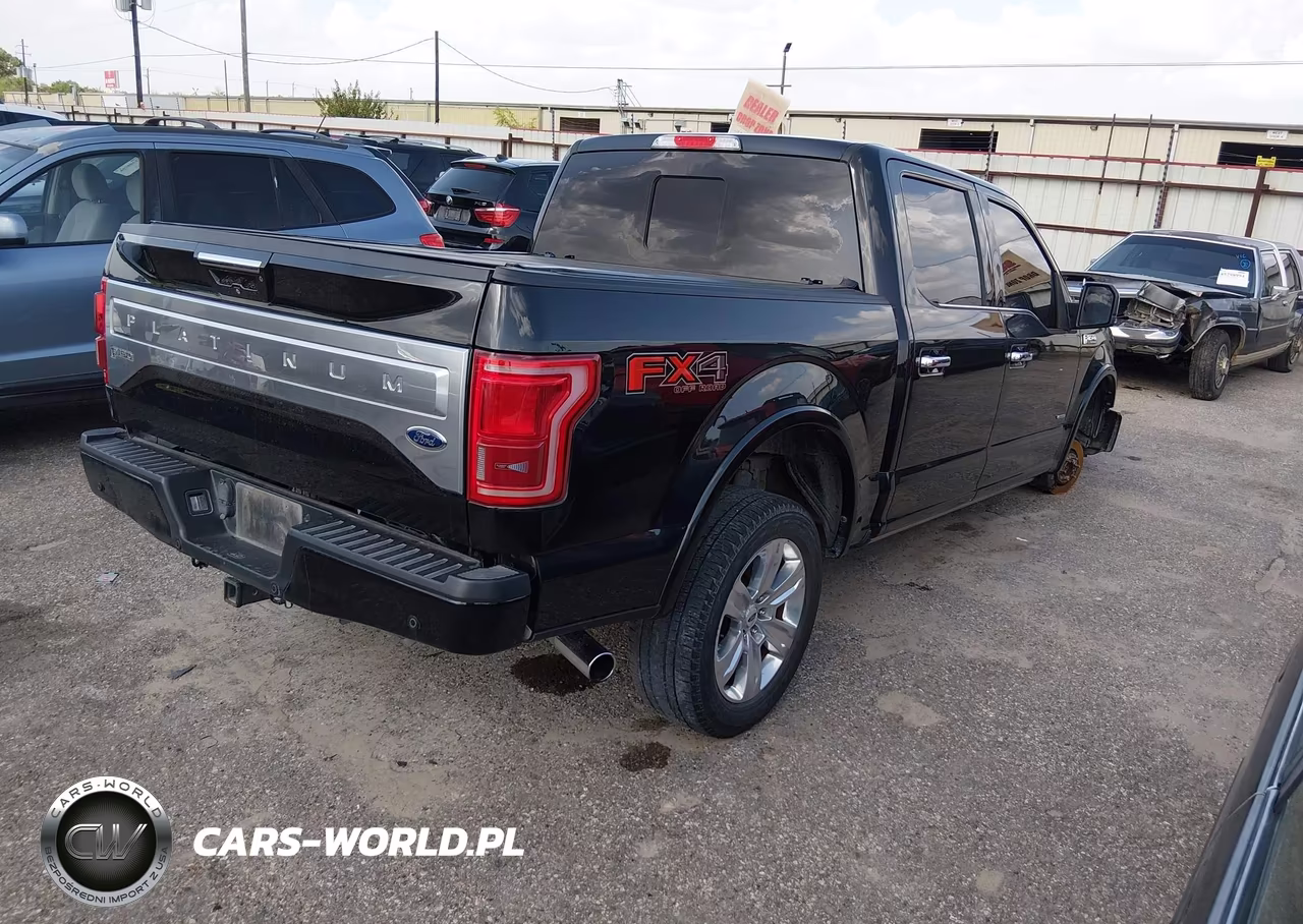 2015 Ford F-150 Platinum VIN:1FTEW1EG2FFA83825 - 4