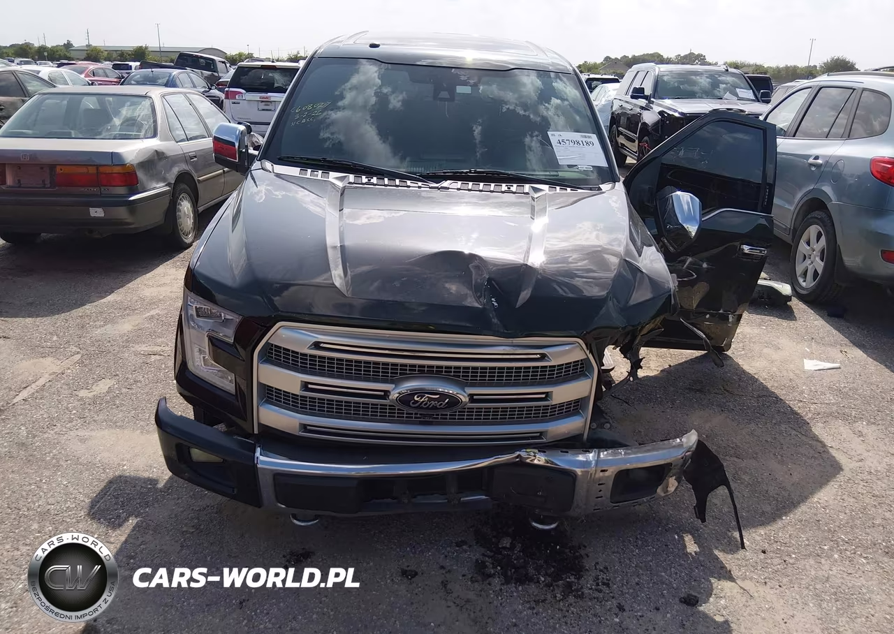 2015 Ford F-150 Platinum VIN:1FTEW1EG2FFA83825 - 6