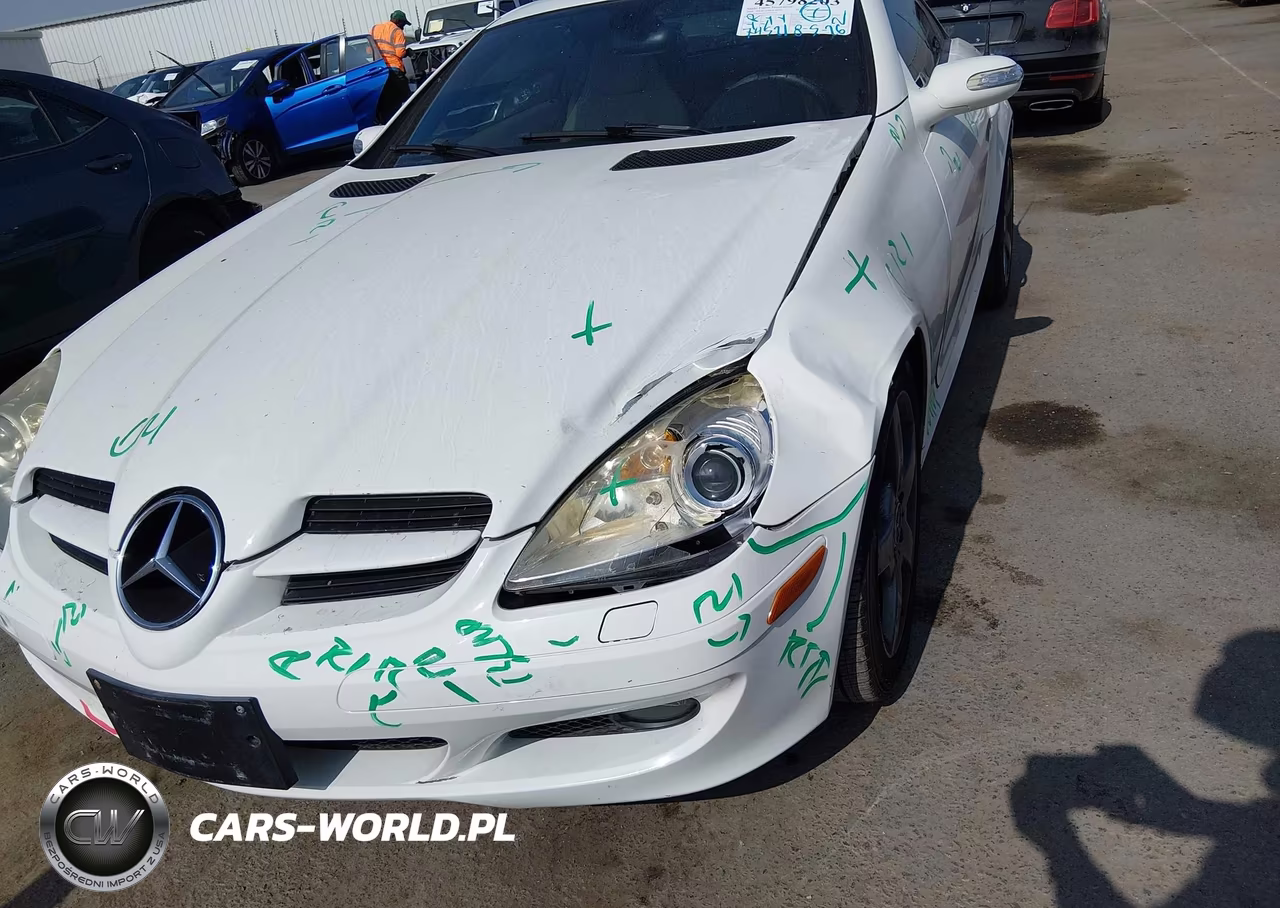 2008 Mercedes-Benz Slk 280 VIN:WDBWK54F18F176904 - 6