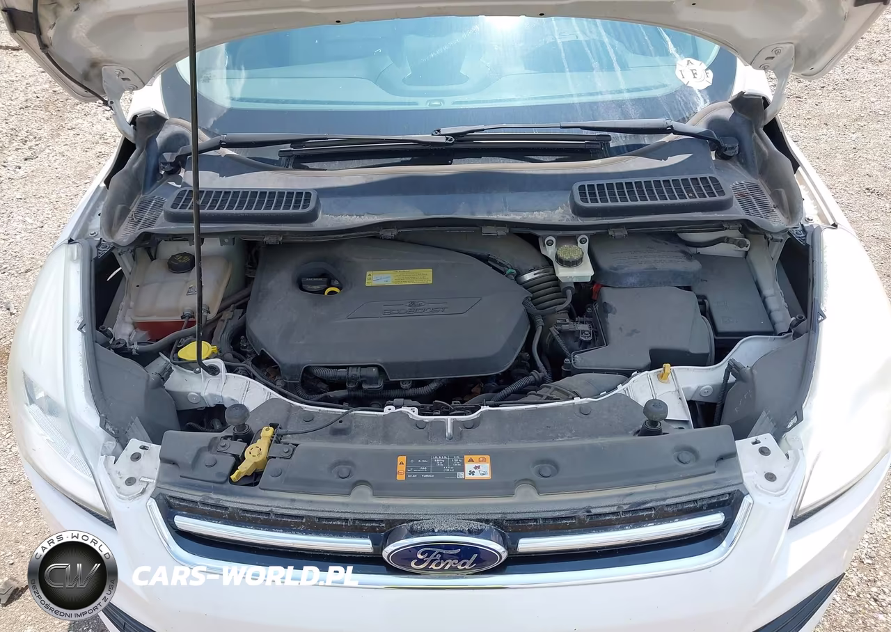 2013 Ford Escape Sel VIN:1FMCU0HX4DUA00175 - 10