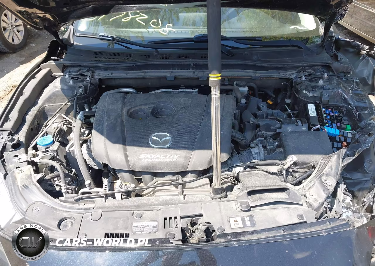 2016 Mazda Mazda3 I Touring VIN:JM1BM1M79G1337765 - 10
