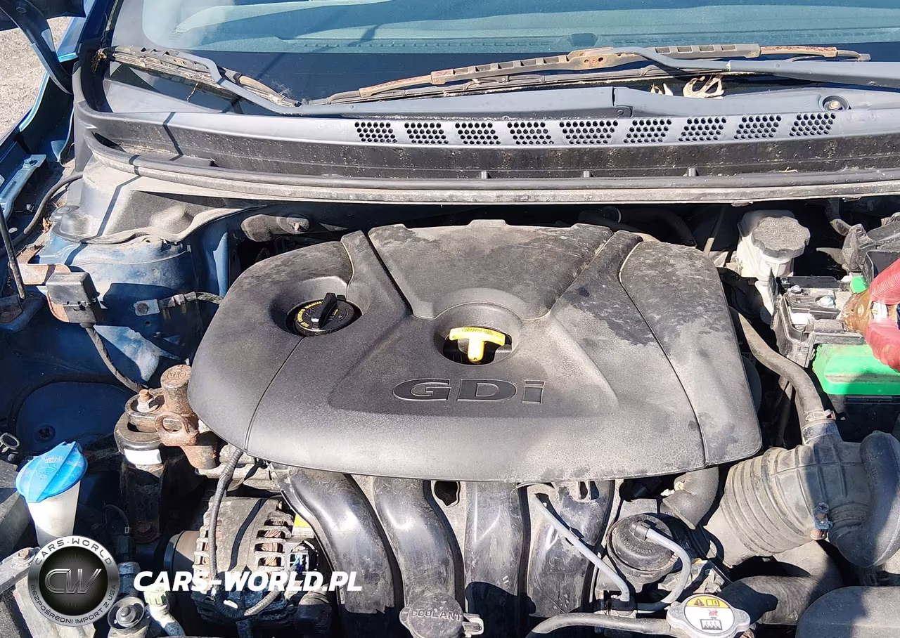 2014 Hyundai Elantra VIN:KMHDH6AH9EU026271 - 10