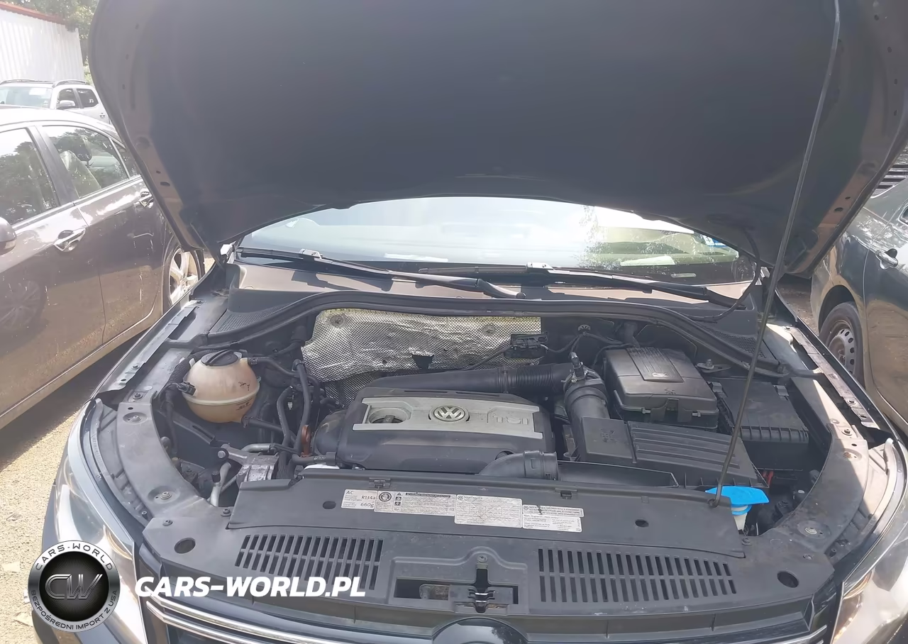 2013 Volkswagen Tiguan Se VIN:WVGBV7AX0DW510183 - 10
