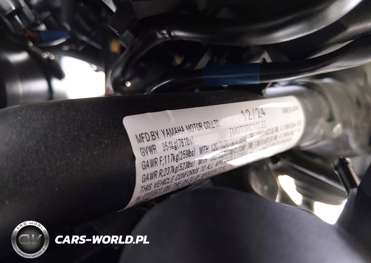 2025 Yamaha Mtn690 VIN:JYARM48E7SA001898 - 10
