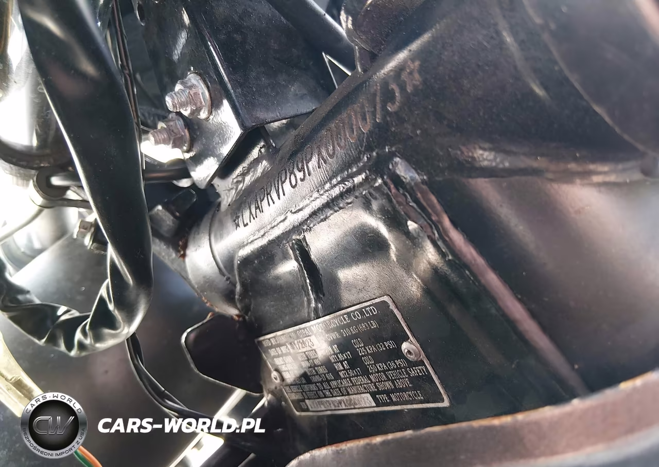 2023 American Custom VIN:LXAPRVP89PX000073 - 10
