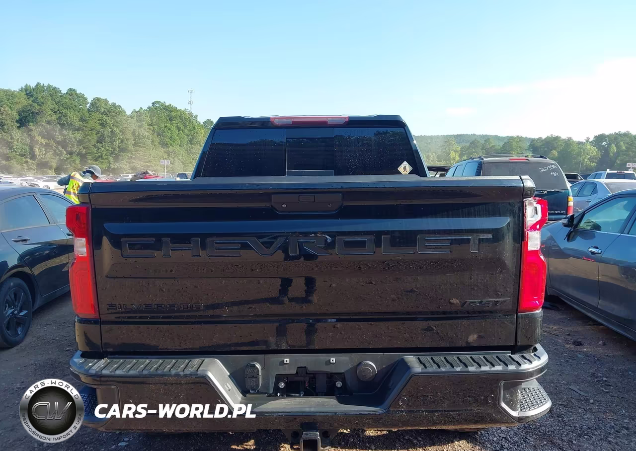 2020 Chevrolet Silverado 1500 4Wd Short Bed Rst VIN:3GCUYEET5LG419584 - 17
