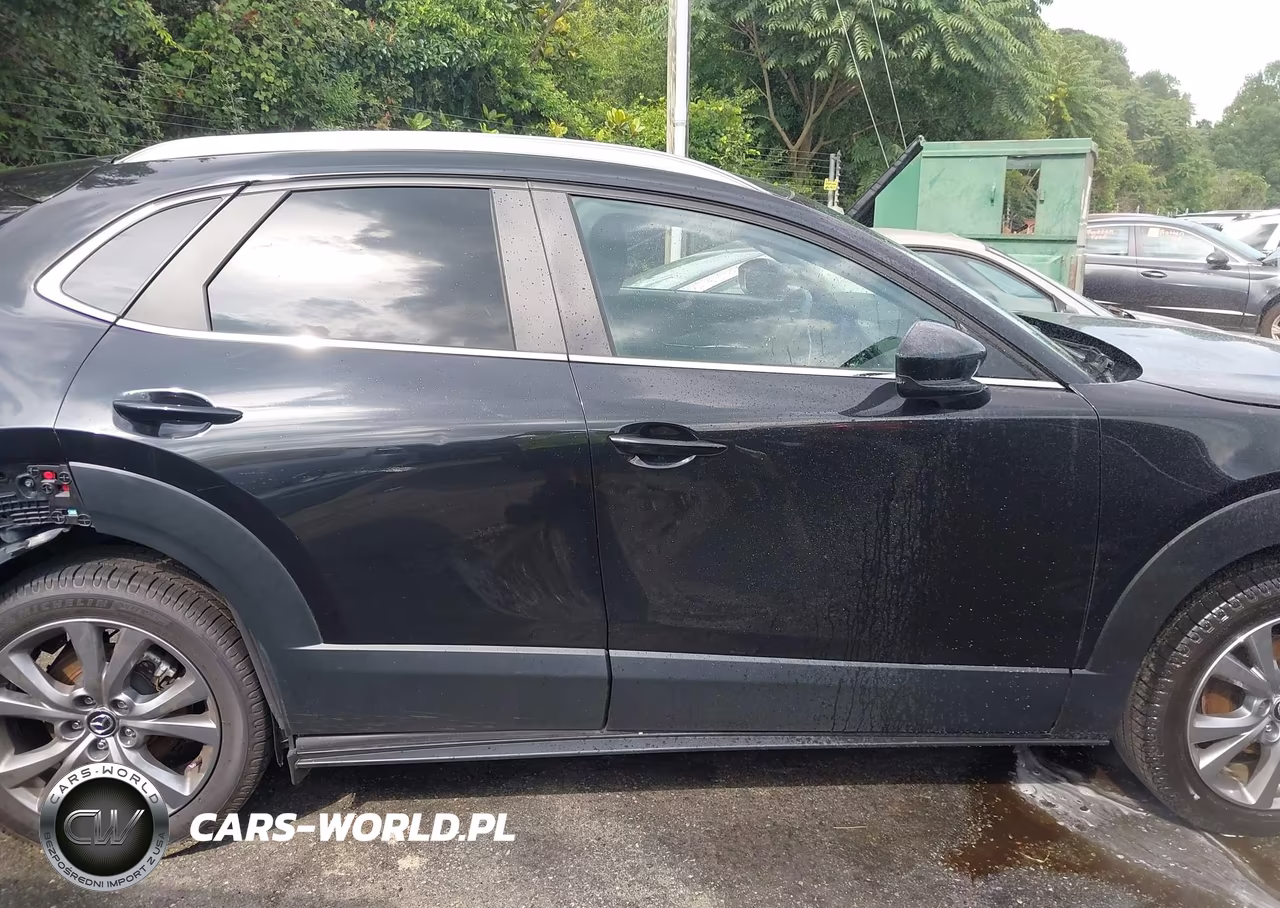 2025 Mazda Cx-30 2.5 S Preferred Package VIN:3MVDMBCM7SM781663 - 13
