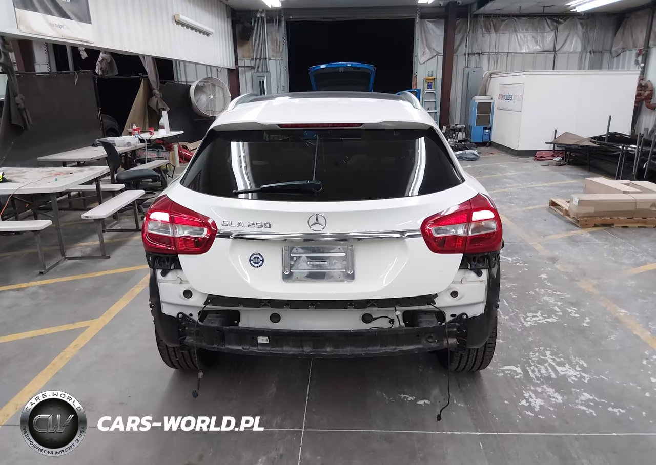 2016 Mercedes-Benz Gla 250 VIN:WDCTG4EB2GJ190229 - 17