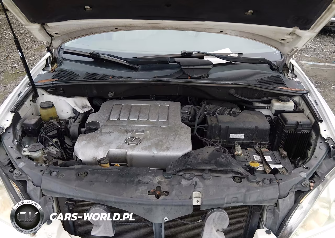 2007 Lexus Rx 350 VIN:2T2HK31U87C007869 - 10