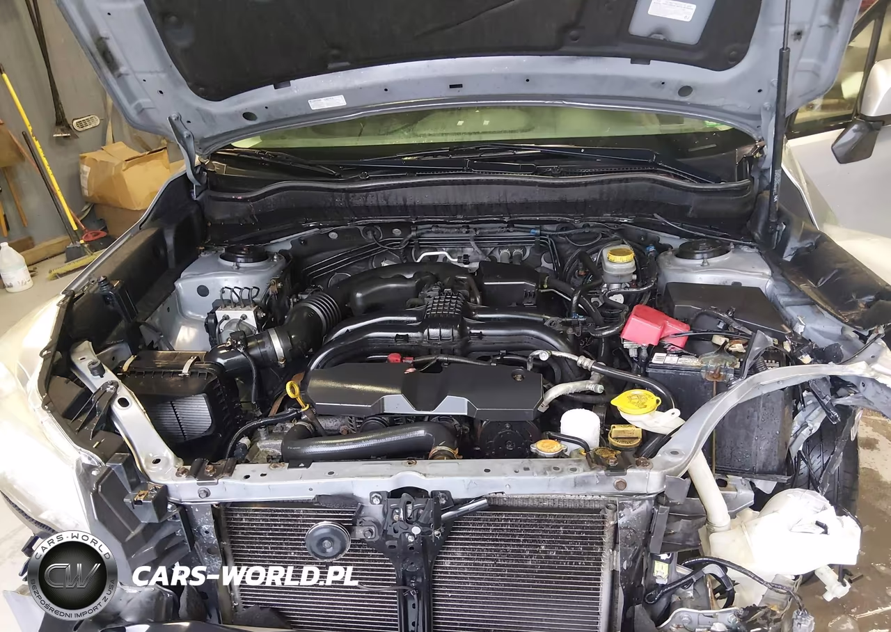 2014 Subaru Forester 2.5I Premium VIN:JF2SJAEC8EH521010 - 10