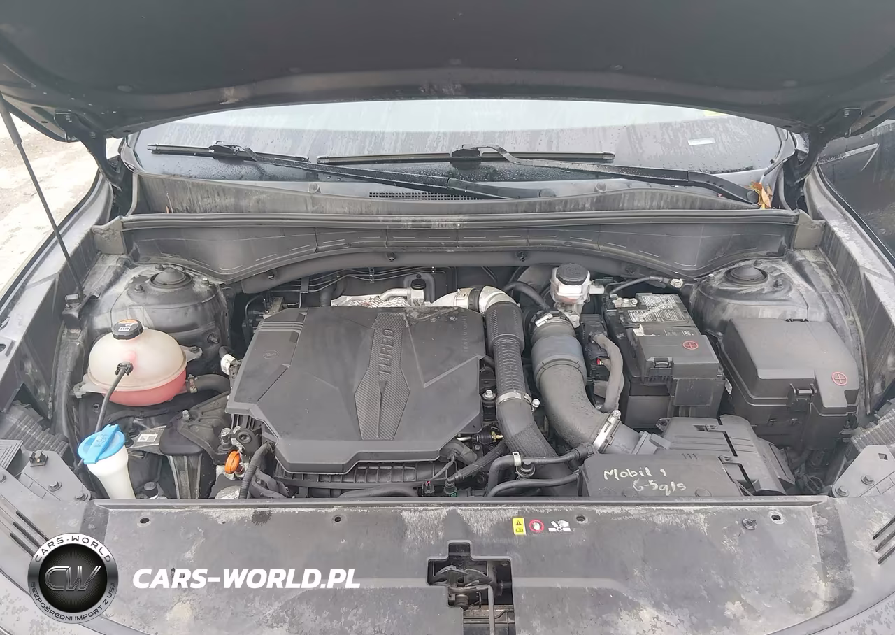 2021 Kia Sorento Sx VIN:5XYRKDLF4MG046231 - 10