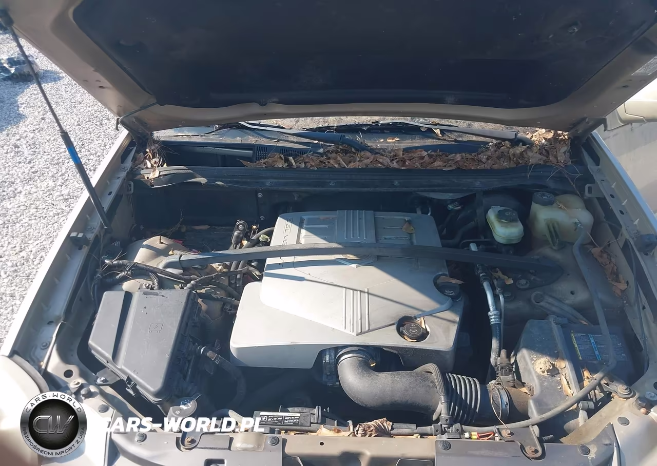 2005 Cadillac Srx V6 VIN:1GYEE637350218714 - 10