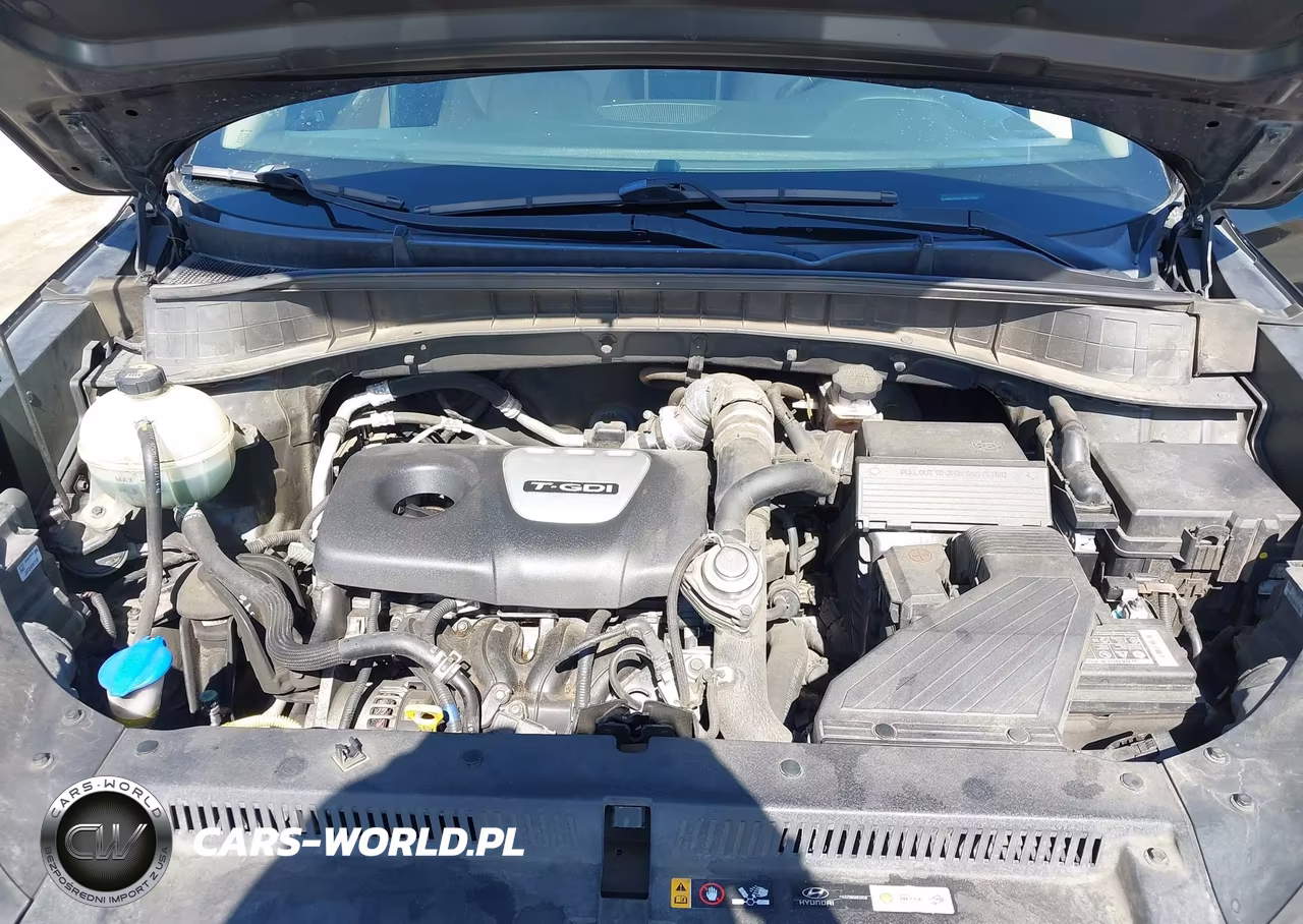 2017 Hyundai Tucson Limited VIN:KM8J33A21HU317850 - 10