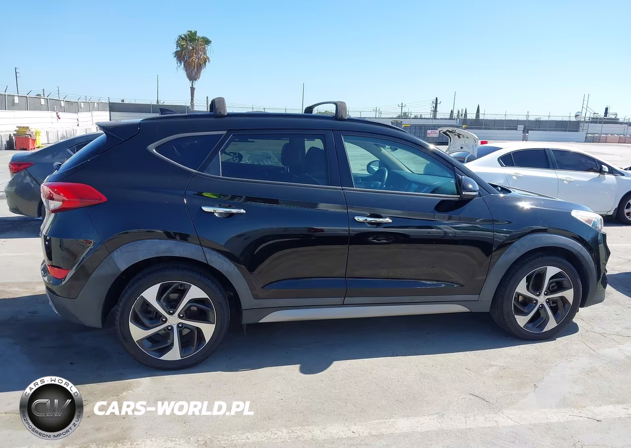 2017 Hyundai Tucson Limited VIN:KM8J33A21HU317850 - 13