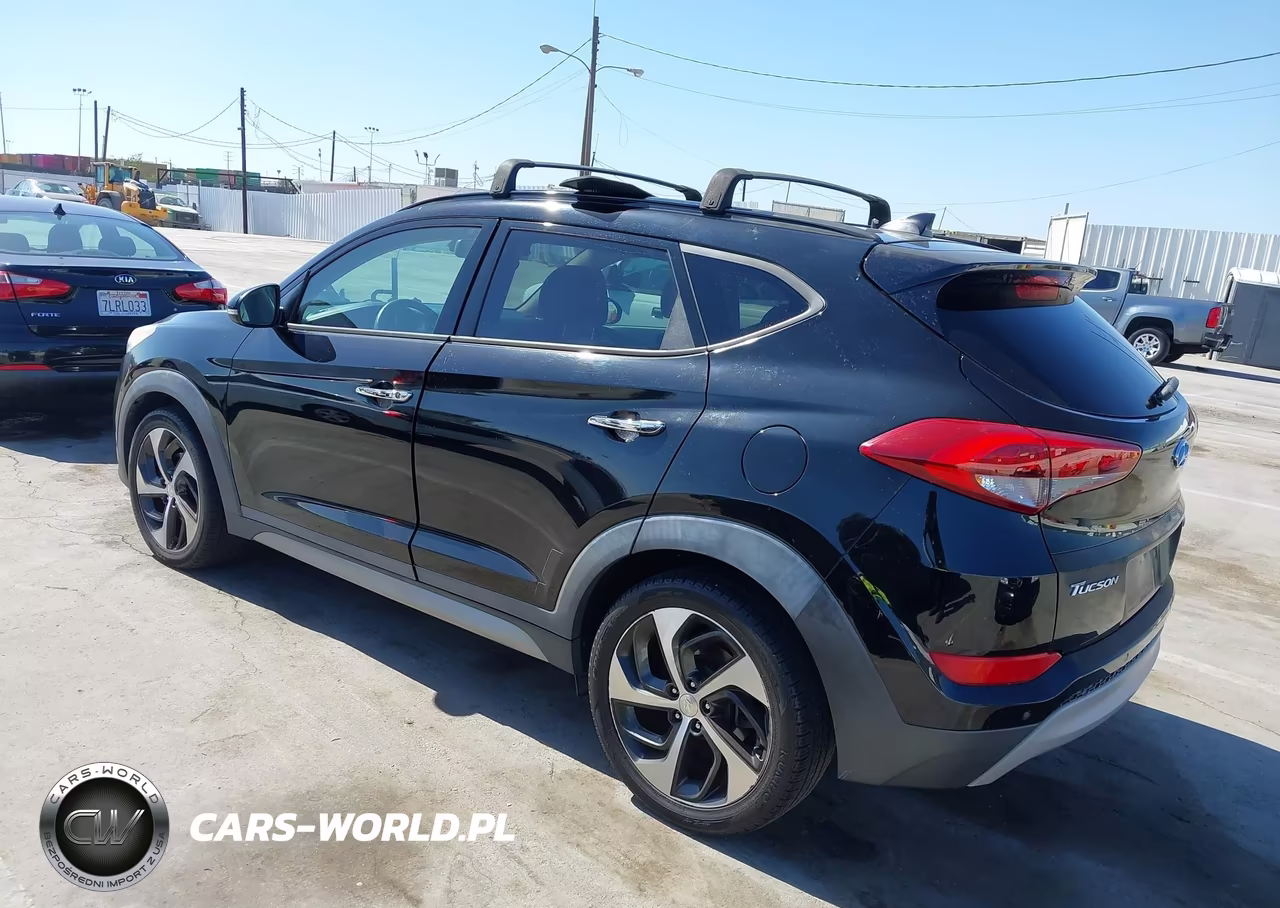 2017 Hyundai Tucson Limited VIN:KM8J33A21HU317850 - 3