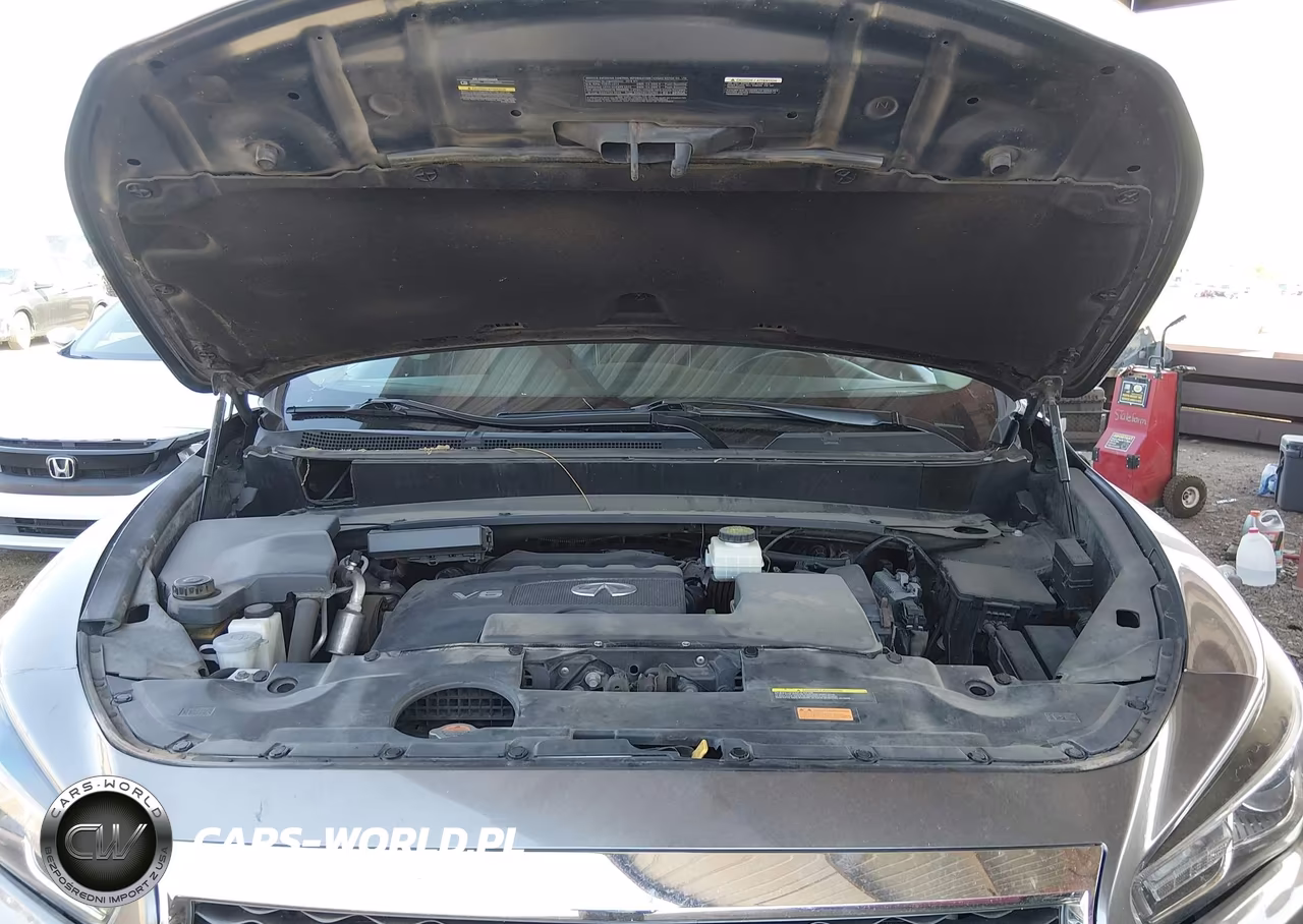 2019 Infiniti Qx60 Pure VIN:5N1DL0MM1KC504589 - 10