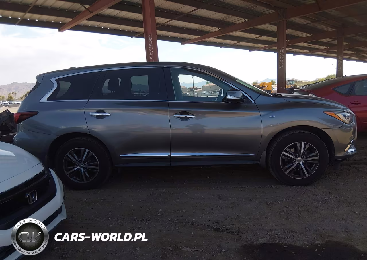 2019 Infiniti Qx60 Pure VIN:5N1DL0MM1KC504589 - 13