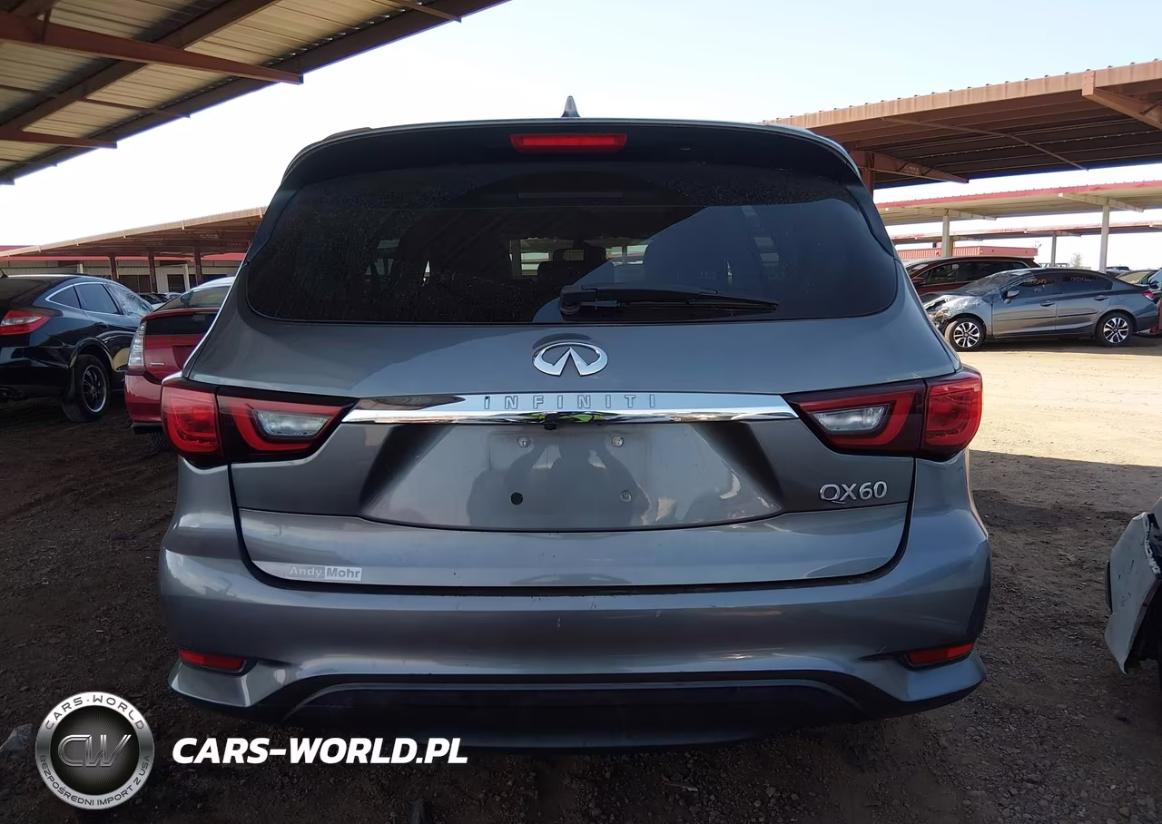2019 Infiniti Qx60 Pure VIN:5N1DL0MM1KC504589 - 16