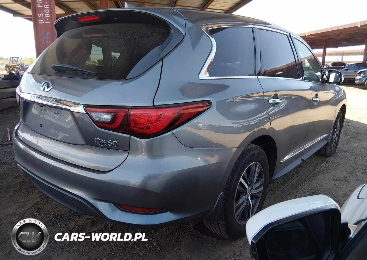 2019 Infiniti Qx60 Pure VIN:5N1DL0MM1KC504589 - 4