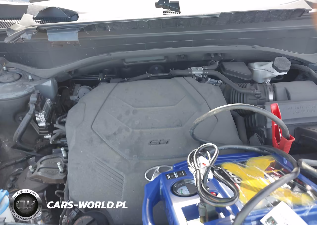 2023 Hyundai Palisade Xrt VIN:KM8R3DGE2PU591440 - 10