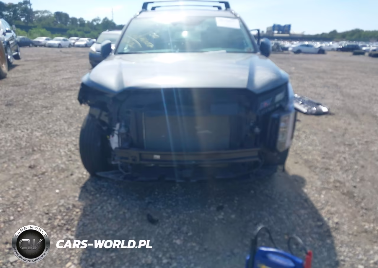2023 Hyundai Palisade Xrt VIN:KM8R3DGE2PU591440 - 12